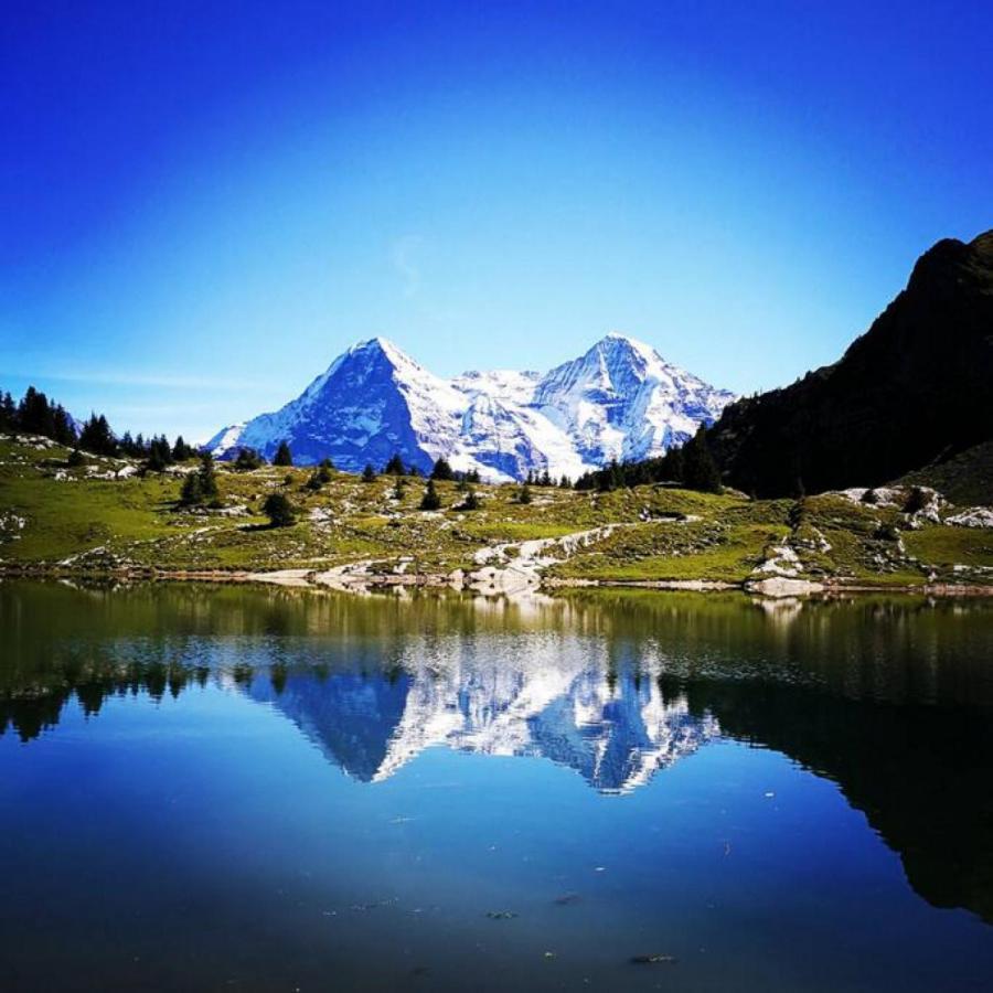 Swisshut Stunning Views Alps Lake - Chalet Erli Därligen Exteriör bild