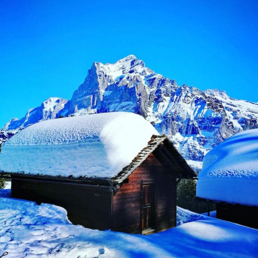 Swisshut Stunning Views Alps Lake - Chalet Erli Därligen Exteriör bild