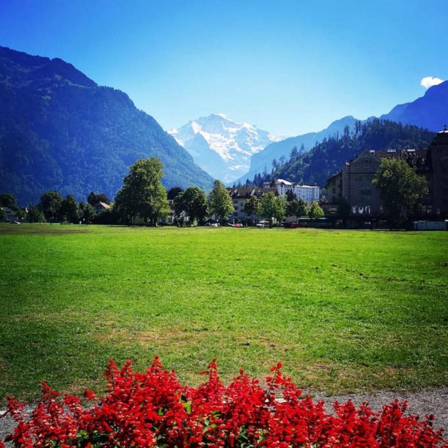 Swisshut Stunning Views Alps Lake - Chalet Erli Därligen Exteriör bild